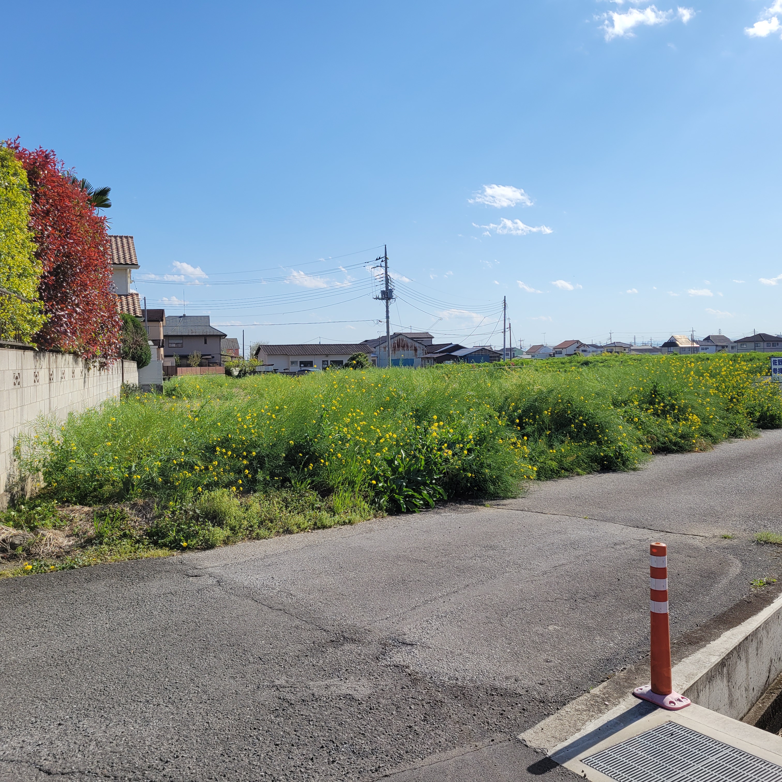 売　地　佐野市寺中町